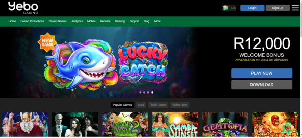 MRBET nz Online -Casino