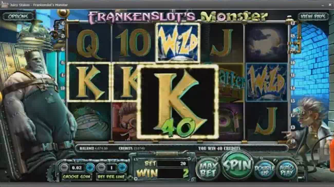 30 free spins Wild Jungle