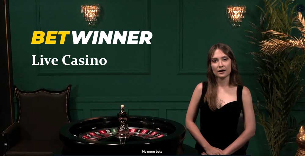 best online casino nz 2019