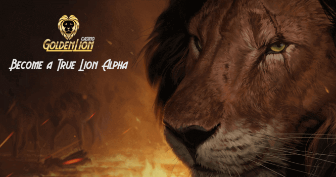 wild casino a.g. no deposit bonus codes 2019