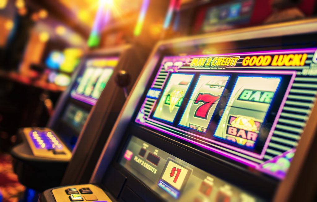 no deposit bonus for wild casino